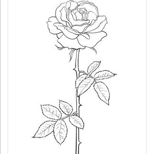 Meet your Posher, Renee